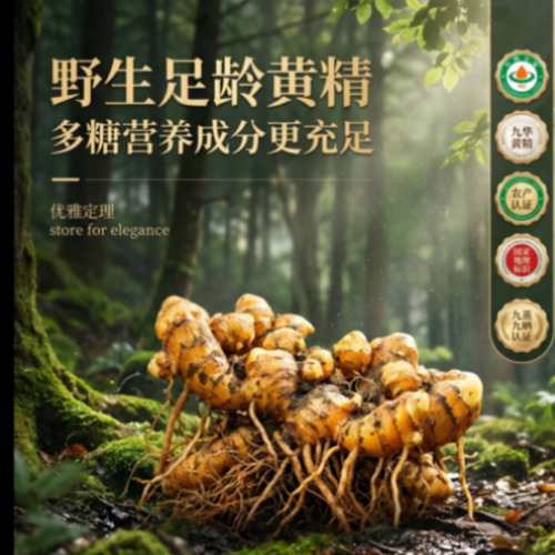 AI模型生态